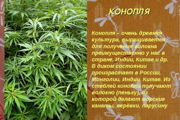 Где купить наркоты
