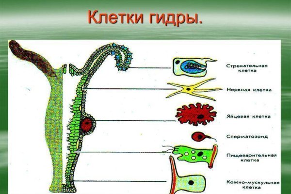 Кракен аватарка маркетплейс