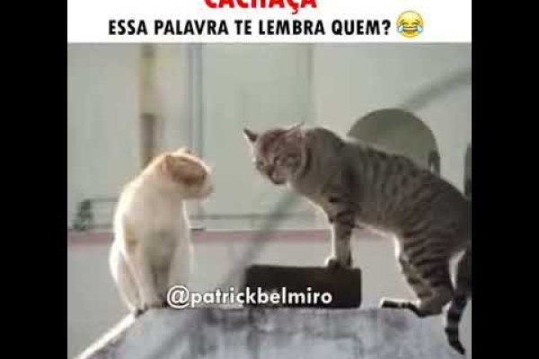 Даркнет каталог