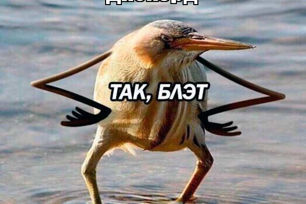 Кракен маркетплейс что продают