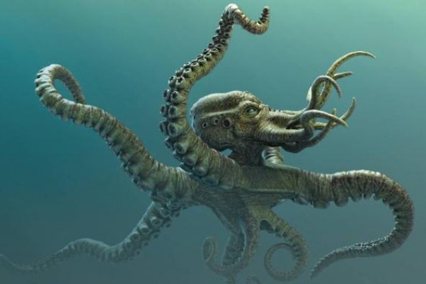 Kraken 13 at com