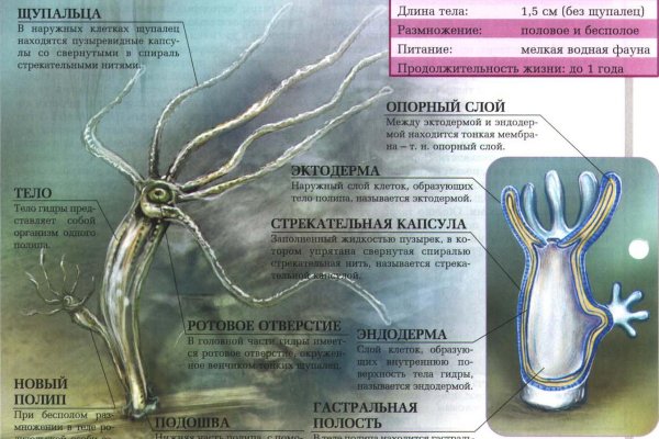Кракен 12at сайт