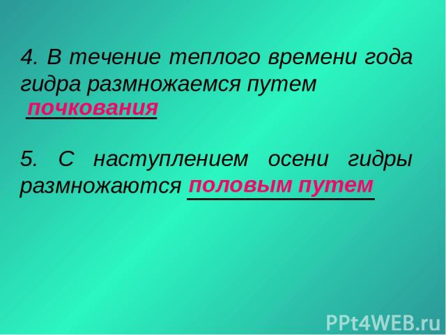 Как зайти на кракен через тор браузер